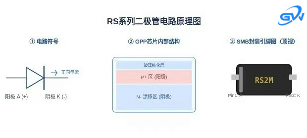 RS电路新.jpg RS电路新.jpg